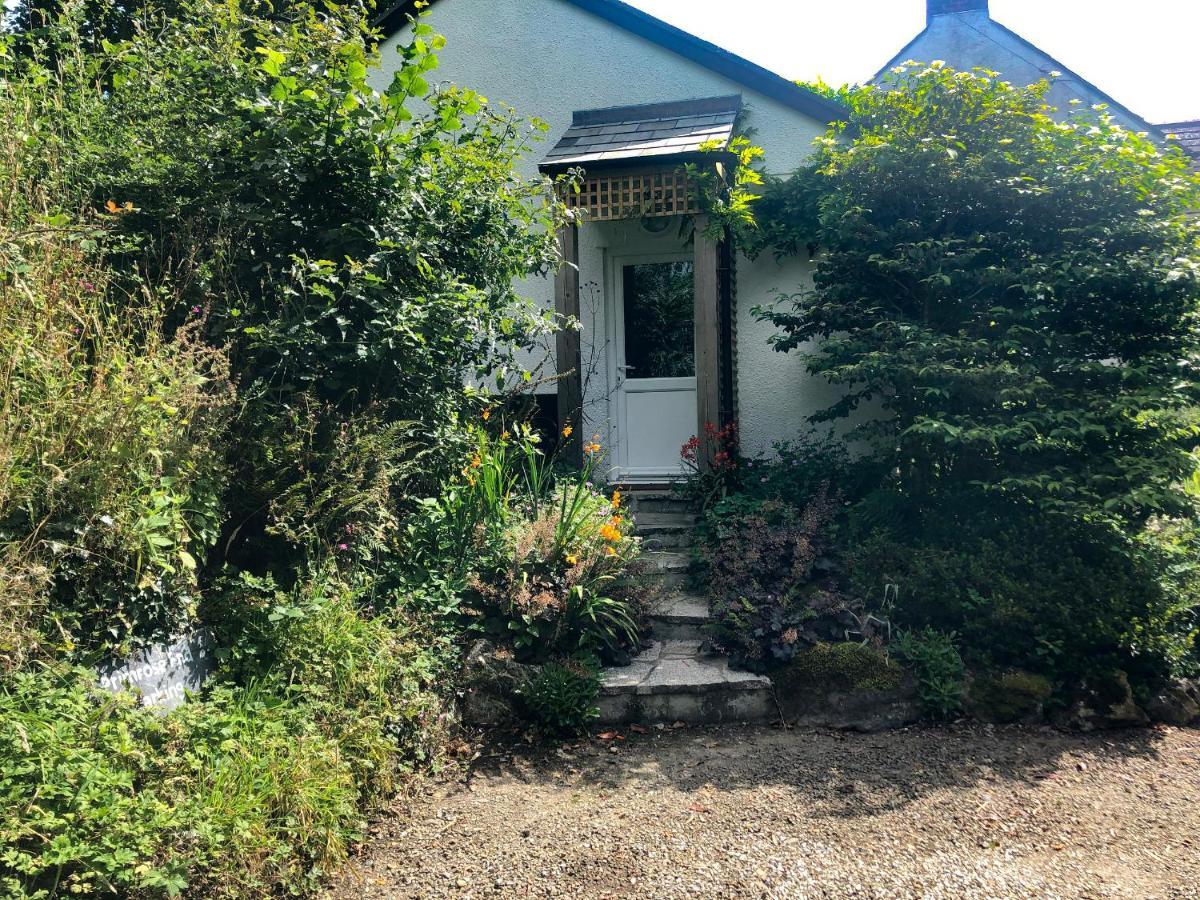 Primrose End Villa Bude Exteriör bild